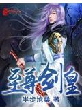 至尊剑皇