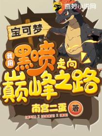 宝可梦:我用黑喷走向巅峰之路