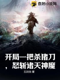 开局一把杀猪刀,怒斩诸天神魔
