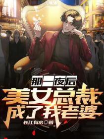 那一夜后,美女总裁成了我老婆