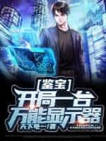 鉴宝:开局一台万能显示器