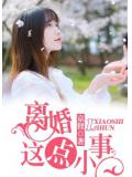 离婚这点小事
