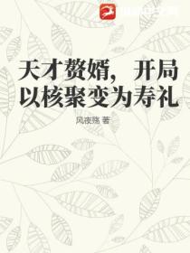 天才赘婿,开局以核聚变为寿礼