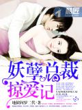 妖孽总裁掠爱记
