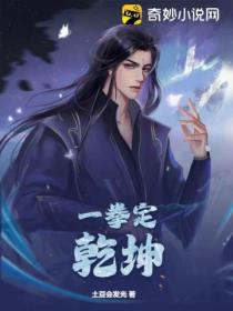 一拳定乾坤
