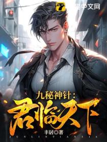 九秘神针:君临天下