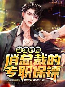 至强邪婿:俏总裁的专职保镖