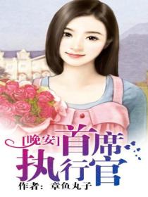 晚安,首席执行官