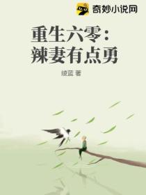 重生六零:辣妻有点勇