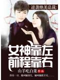 逆袭绝美总裁:女神靠左,前程靠右