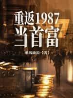 重返1987当首富