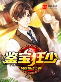 鉴宝狂少