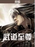 武道至尊