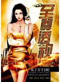 至尊透视