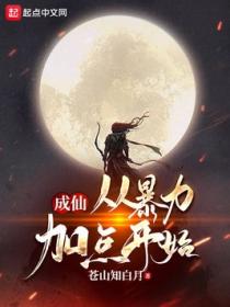 成仙:从暴力加点开始