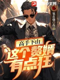 高手下山:这个赘婿有点狂