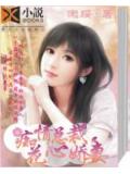 痴情总裁:花心娇妻
