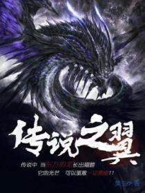 传说之翼