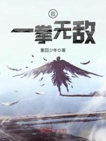 我,一拳无敌