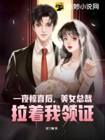 一夜惊喜后,美女总裁拉着我领证