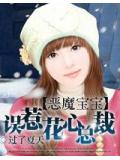 恶魔宝宝:误惹花心总裁