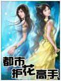 都市护花高手