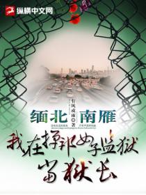缅北南雁,我在掸邦女子监狱当狱长