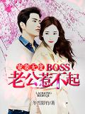 宠妻无度：BOSS老公惹不起