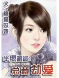 半缘邂逅:总裁劫爱