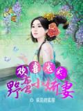 欢喜冤家:野蛮小娇妻