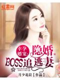 幸孕婚宠：隐婚boss追逃妻