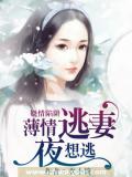 娆情陷阱:薄情逃妻夜想逃