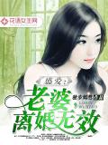 盛爱:老婆,离婚无效