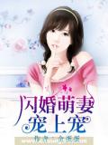 闪婚萌妻,宠上宠