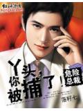 危险总裁:丫头,你被捕了!