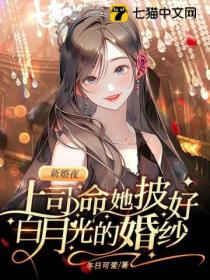 新婚夜,上司命她披好白月光的婚纱