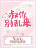 叔,你别乱来
