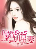 闪婚Boss明星妻