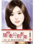 狼性老公,别乱来