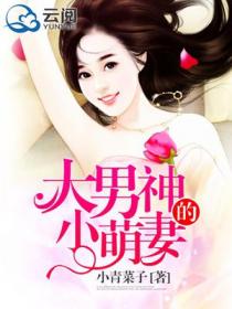大男神的小萌妻
