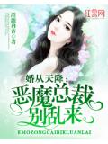 婚从天降:恶魔总裁别乱来
