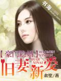 豪门隐婚:旧妻新爱