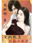 爱的欺负:贴身小老婆