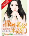 危险缠绵:撒旦老公来敲门