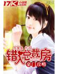 豪门攻略:错入总裁房