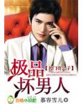 名门贵公子:极品坏男人