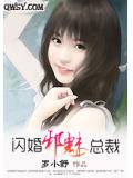 闪婚魅少
