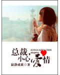 总裁,小心爱情