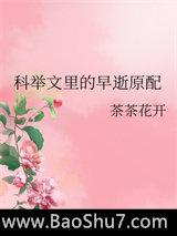 科举文里的早逝原配
