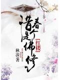惜春是个佛修红楼